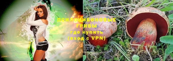бошки Абинск